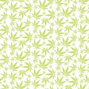 Cannabis leaves - lime on white small