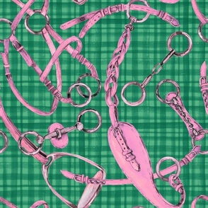 Equestrian bridles and bits in pink and green 