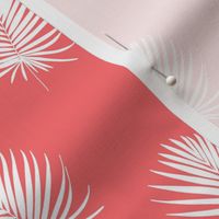 Palm Life in Deep Coral