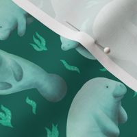 manatees (teal)