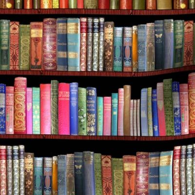 Antique books ft Jane Austen & more 