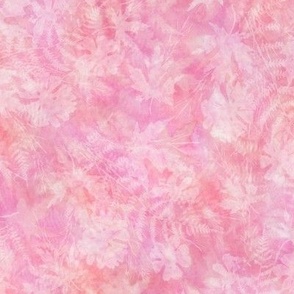 Pink Fern Maple Sunprint Texture