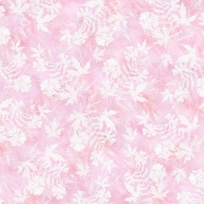 Light Pink and White Fern Maple Sunprint Texture