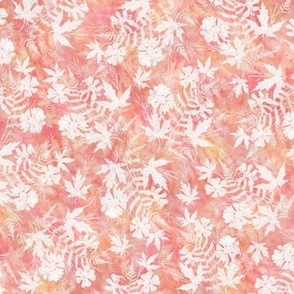 Coral Pink and White Fern Maple Sunprint Texture