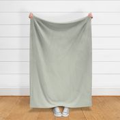 Misted Mint Pastel  Solid Green Color Pairs to Sherwin Williams Frostwork SW 0059
