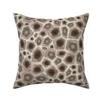 Petoskey Stone - Large Scale