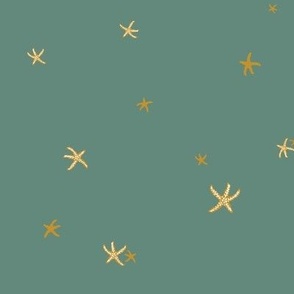 Sea Stars - Soft green blender with starfish