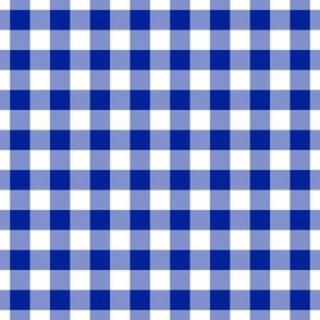 Gingham Pattern - Imperial Blue and White