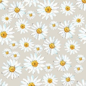 daisy beige