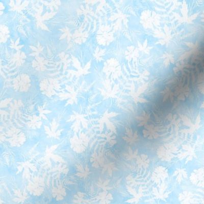 Light Blue and White Fern Maple Sunprint Texture