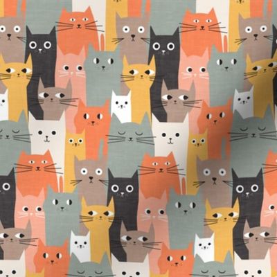 Silly Cats Orange Bown - xs
