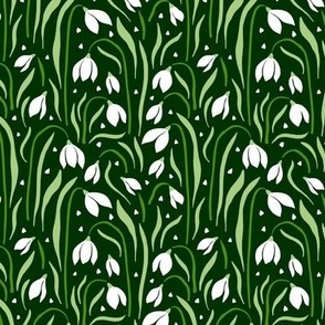 Snowdrop / Flower Gallery