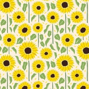 Sunflower / Flower Gallery