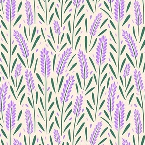 Lavender / Flower Gallery