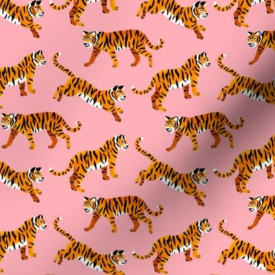 Bengal Tigers - Peachy Pink - Small Scale