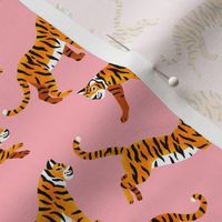 Bengal Tigers - Peachy Pink - Small Scale