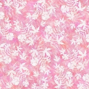 Pink and White Fern Maple Sunprint Texture