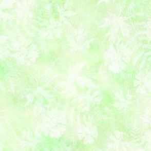 Lime Green Fern Maple Sunprint Texture