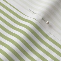 Candy Stripe Light Green on White