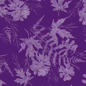 Maple Fern Cosmos Sunprint Dark Purple
