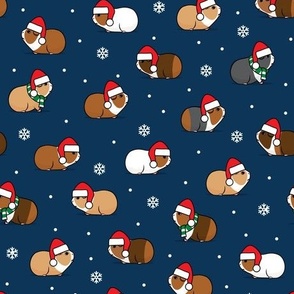 Christmas Guinea pigs - polka dots on mint- LAD21
