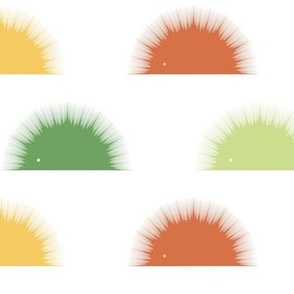 Colorful Porcupines