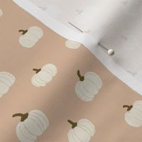 small // Cream Pumpkins on Blush Pink for Fall