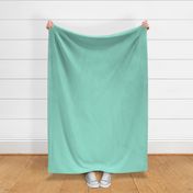 Beach Glass Green-Blue Solid Color PANTONE 13-5412 2022 Summer Trending Shade - Hue - Colour