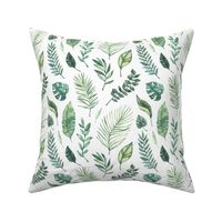 Tropical palm leaves