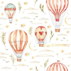 Air balloons, florals and sky