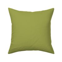 Pickled Pepper Green Solid Color PANTONE 16-0436 2022 Summer Trending Shade - Hue - Colour