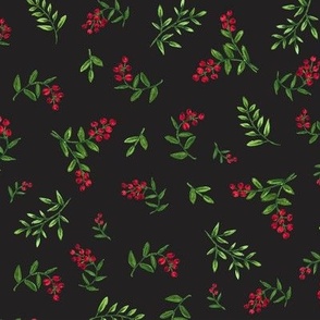 Hand Painted Red Berries and Greenery on Black