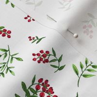 Hand Painted Red Berries and Greenery on White