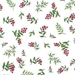 Hand Painted Red Berries and Greenery on White