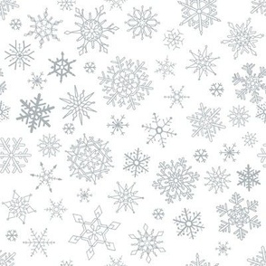 Exquisite Silver Gray Snowflakes on White