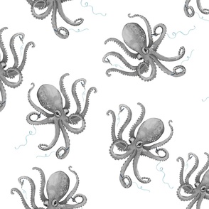 Octopus Pen Thief - Gray - Large Scale on White