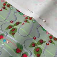 Tiny Size Raspberries and Ribbons on Willowy Sage Background