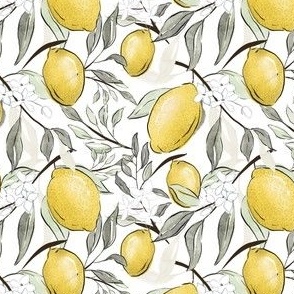 Lemons and Blossoms