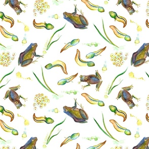 Watercolour tadpoles 