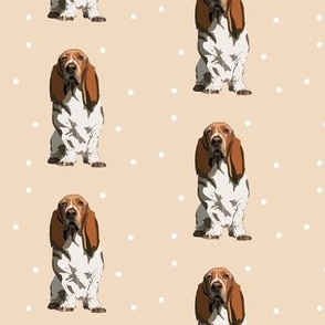 BBD Basset Hound Cream