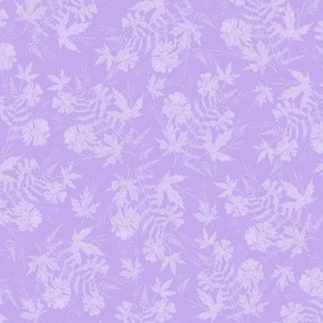 Maple Fern Cosmos Sunprint Lavender