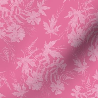 Maple Fern Cosmos Sunprint Bubblegum Pink