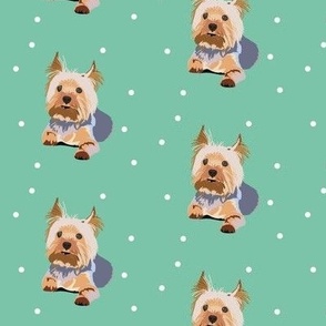 BBD Yorkshire Terrier Green