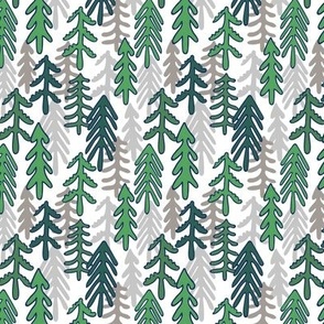 Coniferous Forest - natural