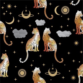 Leopards in the Night Sky