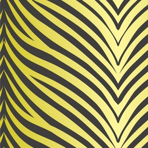 Zebra Gold Abstract Pattern in Black