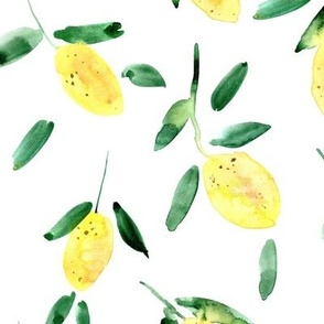 large scale lemon sorbet - sunny summer lemons - juicy citrus a125-1