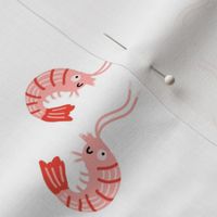 Large Swimming Shrimp on White
