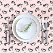 Adorable Chinchillas on Textured Pink by Brittanylane