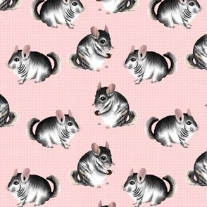 Adorable Chinchillas on Textured Pink by Brittanylane